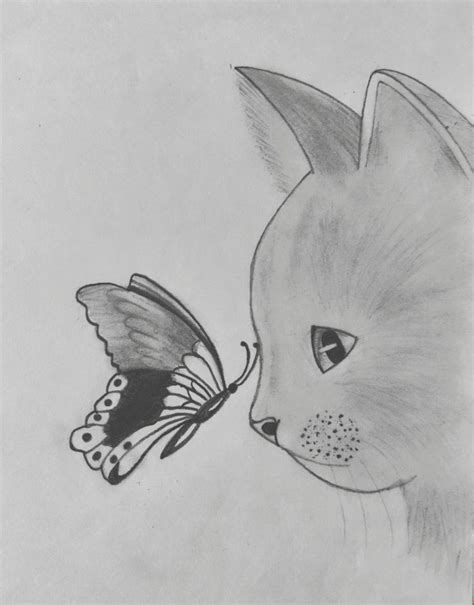 Cat with butterfly pencil sketch | Simple cat drawing, Animal line drawings, Easy drawings sketches