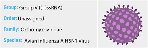 Avian Influenza A H5N1 Virus - Quip Labs