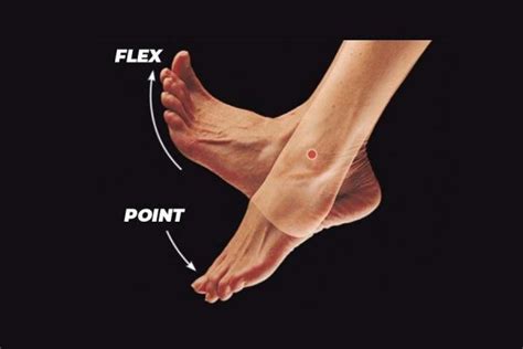 Ankle Pumps Exercise - Complete Guide