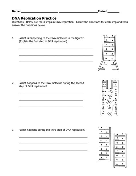 DNA Replication Worksheet