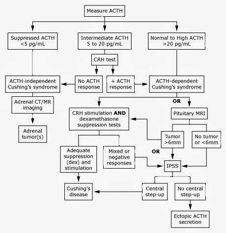 Absorb Medicine: Diagnosis of Cushing's Syndrome