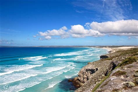 Exceptional Port Lincoln, Seafood and Wildlife Day Tour from Port ...