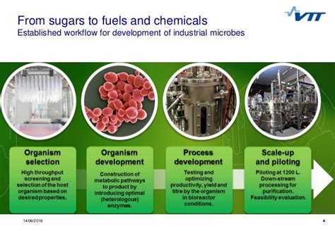 Industrial Biotechnology-a Key to Bioeconomy