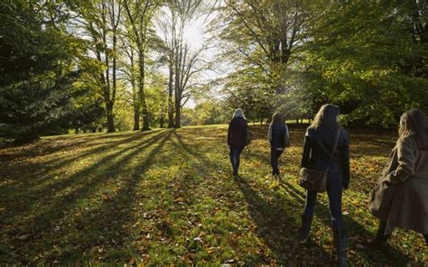 Mindfulness in Nature Walks | Waddesdon Manor