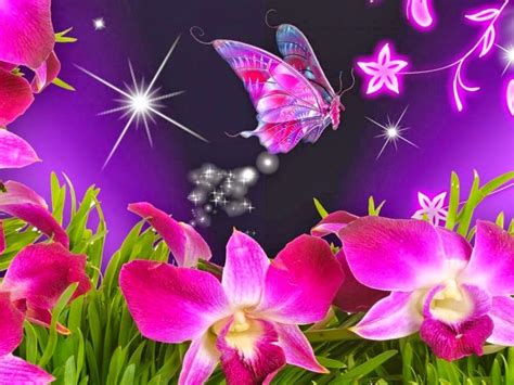 Animated Butterfly Wallpapers - Top Free Animated Butterfly Backgrounds ...