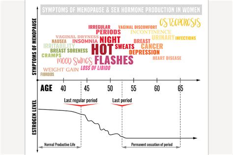 Stages and symptoms of menopause | Custom-Designed Illustrations ...