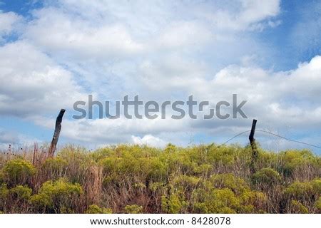 Oklahoma Landscape Stock Photos, Images, & Pictures | Shutterstock