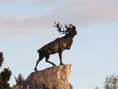 Beaumont-Hamel Newfoundland Memorial | Great War | CEFRG