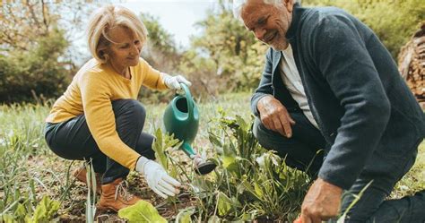 Benefits of Gardening for Seniors and the Elderly | Amico