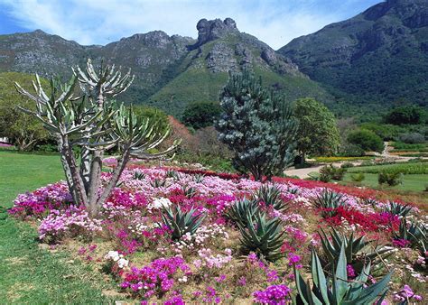 Kirstenbosch Botanical Gardens | Audley Travel