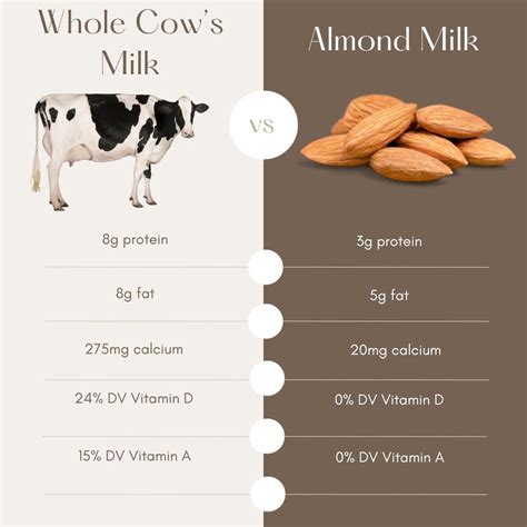 Cow Milk vs. Almond Milk: A Nutrition Comparison — Saint John's Organic ...