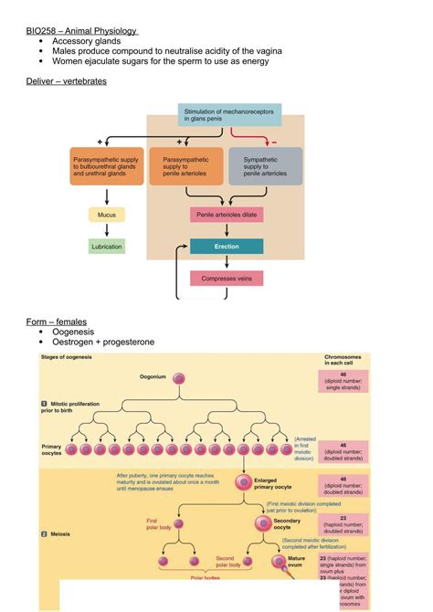 Animal Physiology Notes | BIO258 - Animal Physiology - Swansea | Thinkswap