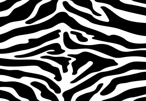 Zebra Print Vector | Download Free Vector Art | Free-Vectors