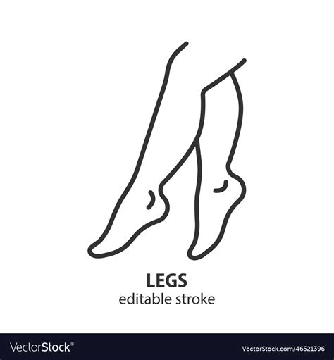 Female legs line icon body care outline symbol Vector Image