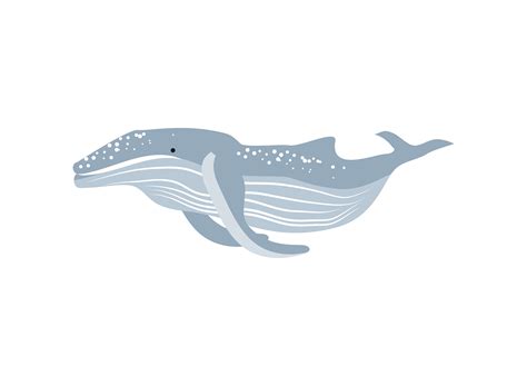 humpback whale icon 4628963 Vector Art at Vecteezy