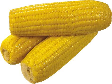 Corn PNG Transparent Images, Pictures, Photos | PNG Arts