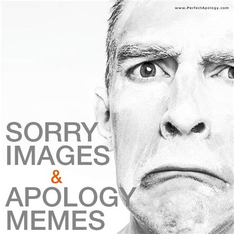 Apology Meme & Sorry Images | Sorry images, Memes, Male sketch