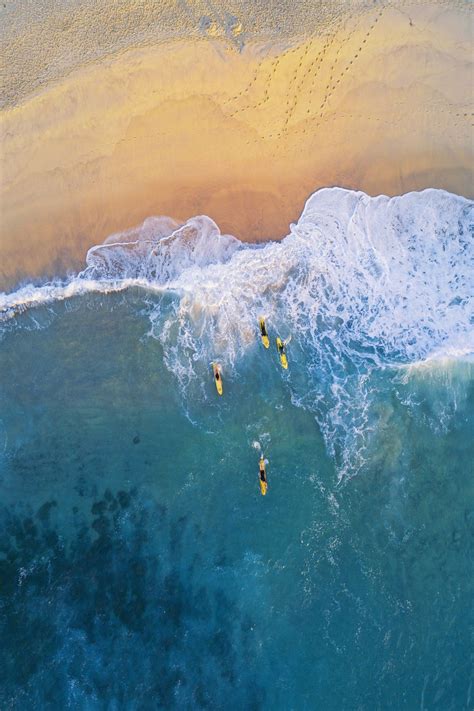 Want to learn how to surf? Where could be better than Sydney, the heart of Australia's surfing ...