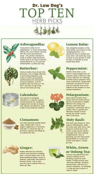 Medicinal Herbs List