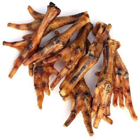 Chicken Feet For Dogs | eduaspirant.com