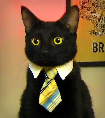 CyBeRGaTa: Meme Kittehs - Business Cat or is that Bizness Kitteh & Cat Fort