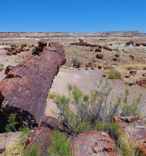 Petrified Forest National Park Guide - The Wandering Homemaker