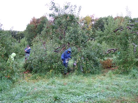 Saturday, September 26 -- Trip to Red Apple Farm! | Unitarian Universalist Church of Winchendon MA