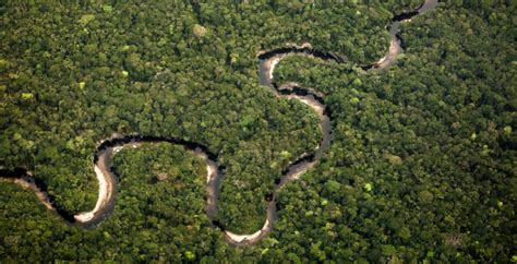 Amazon deforestation rate halved - The Nordic Times