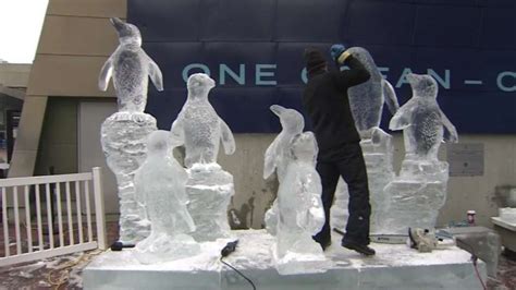 A Brrr-illiant Display: Ice sculptures of New England Aquarium penguins coming to Boston for New ...