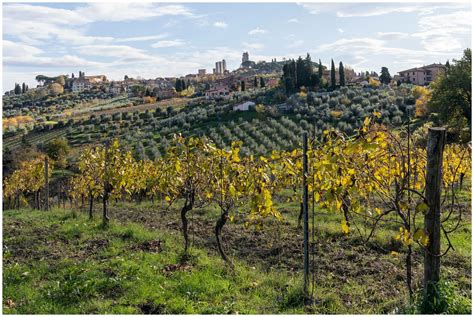 San Gimignano Wine Tasting: The Delicious Flavors of Tuscany - Journey of Doing