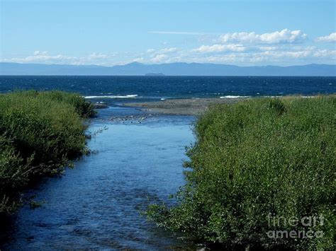 The River Flows To The Sea Photograph by Delores Malcomson