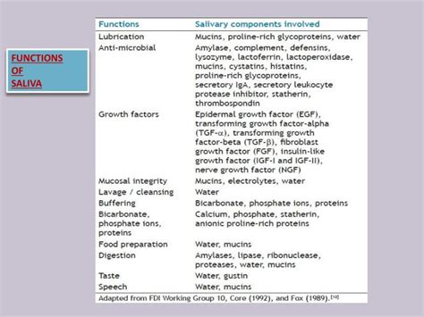 PPT - SALIVA (Composition and Functions) PowerPoint Presentation - ID ...