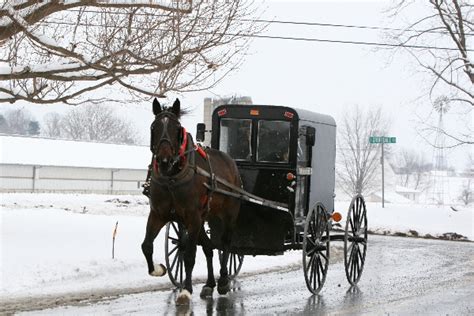 Amish Horse and Buggies in Lancaster’s Amish Country