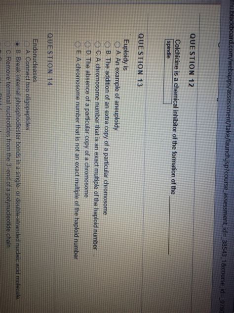 Solved Euploidy is An example of aneuploidy The addition of | Chegg.com