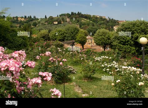 Gardens and view Fort Belvedere Florence Italy Stock Photo - Alamy