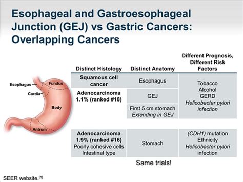 Treatment of Advanced Gastric Cancer in 2014: Expanding Horizons ...