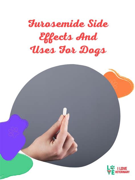 Furosemide Side Effects And Uses For Dogs - I Love Veterinary - Blog for Veterinarians, Vet ...