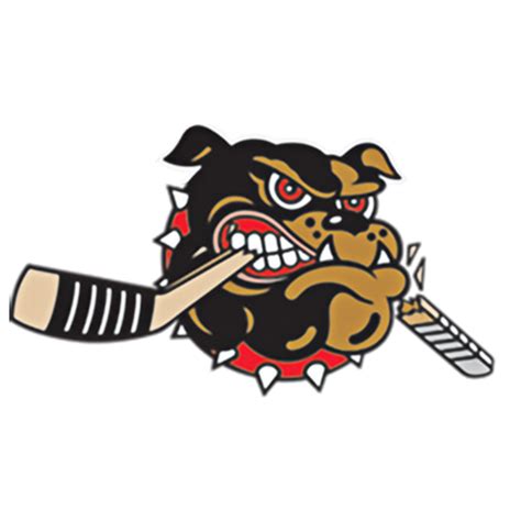 Bulldogs Hockey School | Alberni Valley Bulldogs