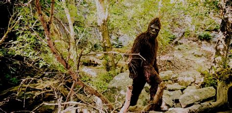 Appalachian Folklore, Monsters and Superstitions