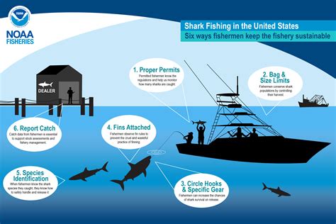 Six Ways Fishermen Keep Shark Fishing Sustainable | NOAA Fisheries