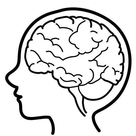 human brain drawing easy - Clip Art Library