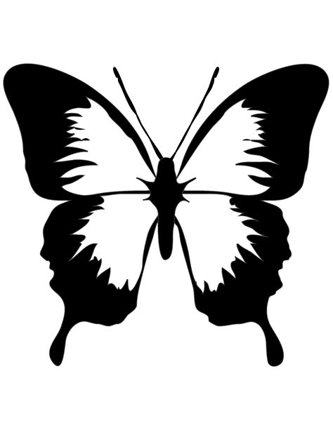 Butterfly Drawing Template at GetDrawings | Free download