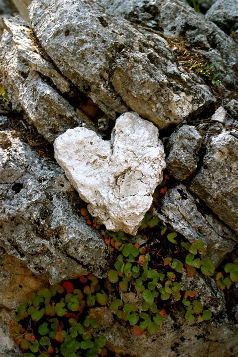 96 best Heart-Shaped Rocks images on Pinterest | Heart shaped rocks, My ...