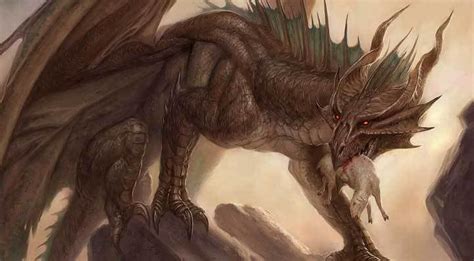 dragon *body structure | Fantasy creatures mythology, Dragon pictures, Fantasy dragon