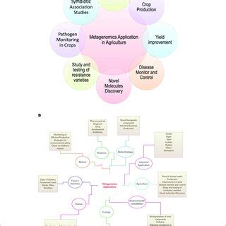 | Application of metagenomics in (A) agriculture and (B) other areas ...