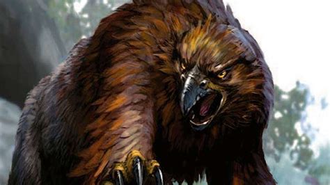 Become an Owlbear Monk in D&D with WAY OF THE OWLBEAR — GeekTyrant