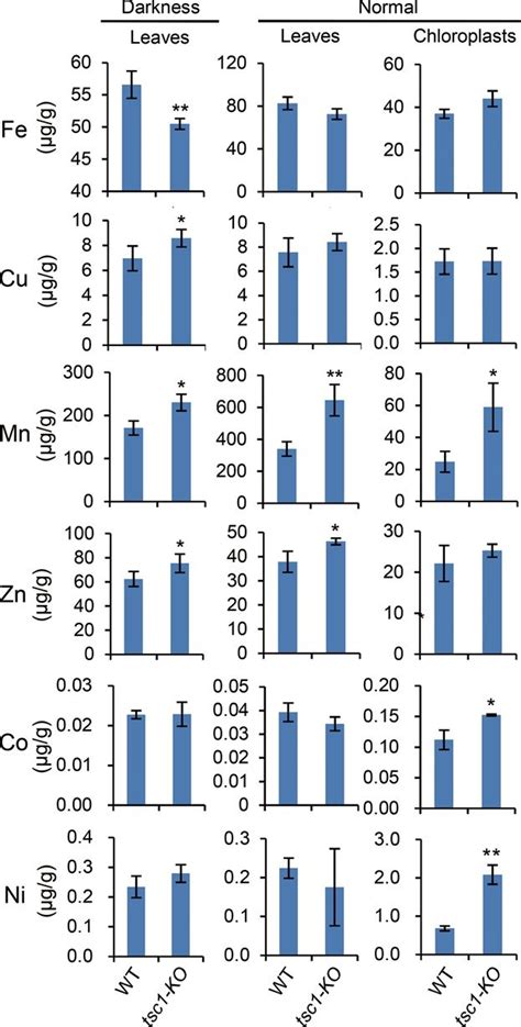 Elemental analysis The results of the inductively coupled plasma‐mass... | Download Scientific ...