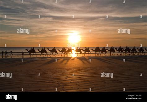 Cable beach camel broome hi-res stock photography and images - Alamy