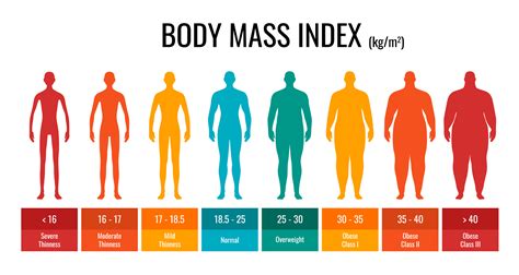 腹筋が割れる体脂肪率は？体脂肪の減らし方や鍛え方を紹介！ | メンズファッションメディア OTOKOMAE / 男前研究所