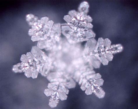 Dr. Masaru Emoto ~ Messages From Water Movie | Psychedelic Adventure